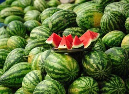 ooooo推特网红吃瓜,从吃瓜到爆红,看看他们如何玩转社交媒体! 第3张 ooooo推特网红吃瓜,从吃瓜到爆红,看看他们如何玩转社交媒体! 第3张